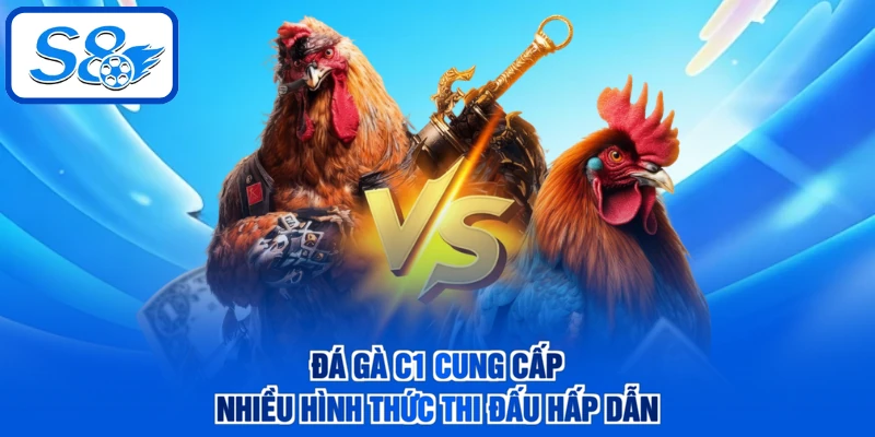 Đá gà C1 cung cấp nhiều hình thức thi đấu hấp dẫn