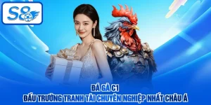 Đá Gà C1 - Đấu Trường Tranh Tài Chuyên Nghiệp Nhất Châu Á