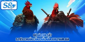 Đá Gà Cựa Sắt - 5 Tiêu Chuẩn Cần Phải Nắm Khi Tham Gia