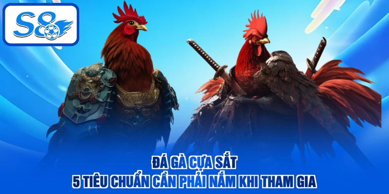 Đá Gà Cựa Sắt - 5 Tiêu Chuẩn Cần Phải Nắm Khi Tham Gia