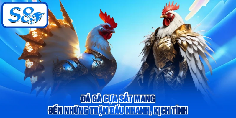 Đá gà cựa sắt mang đến những trận đấu nhanh, kịch tính