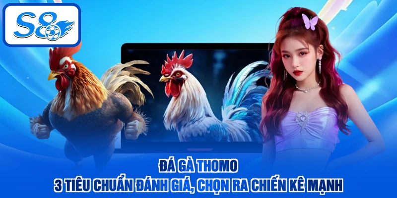 Đá Gà Thomo - 3 Tiêu Chuẩn Đánh Giá, Chọn Ra Chiến Kê Mạnh