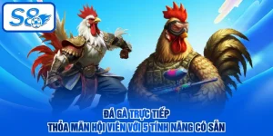 Đá Gà Trực Tiếp - Thỏa Mãn Hội Viên Với 5 Tính Năng Có Sẵn