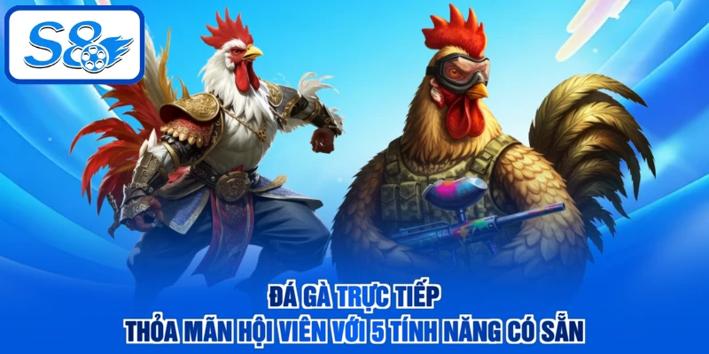 Đá Gà Trực Tiếp - Thỏa Mãn Hội Viên Với 5 Tính Năng Có Sẵn