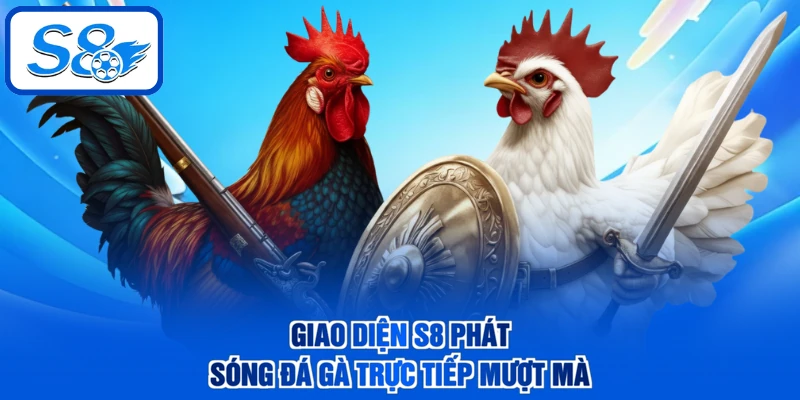 Giao diện S8 phát sóng đá gà trực tiếp mượt mà