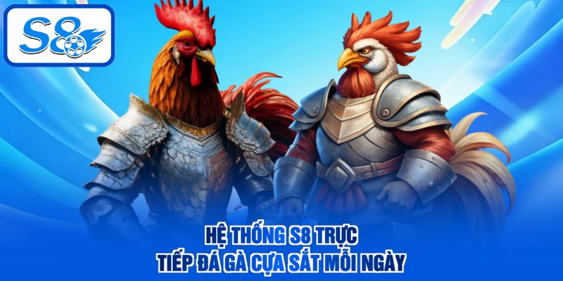 Hệ thống S8 trực tiếp đá gà cựa sắt mỗi ngày