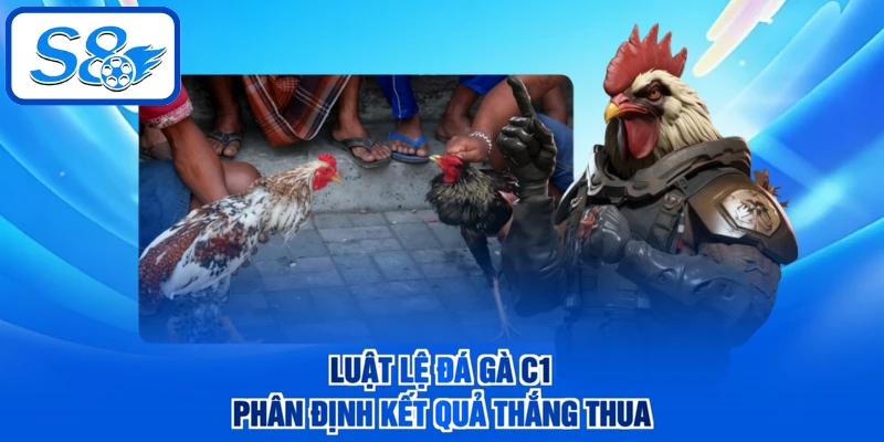 Luật lệ đá gà C1 phân định kết quả thắng thua
