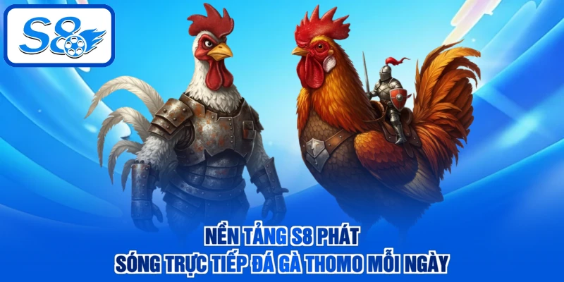 Nền tảng S8 phát sóng trực tiếp đá gà Thomo mỗi ngày