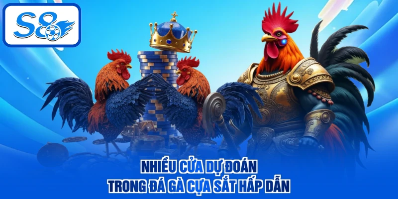Nhiều cửa dự đoán trong đá gà cựa sắt hấp dẫn