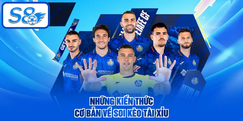 Những kiến thức cơ bản về soi kèo tài xỉu