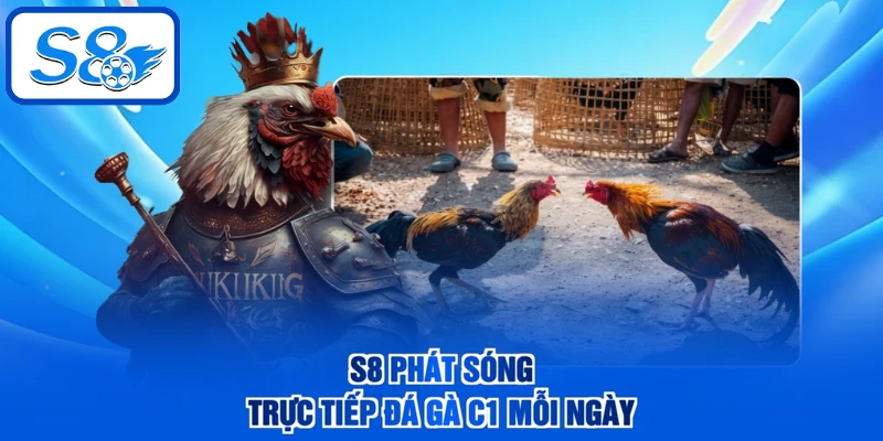 S8 phát sóng trực tiếp đá gà C1 mỗi ngày