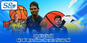 Soi Kèo Tài Xỉu - Bật Mí Mẹo Thắng Lớn 100% Từ Cao Thủ